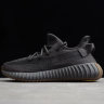 Adidas Yeezy Boost 350 V2