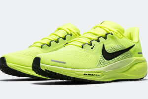 Nike Air Zoom Pegasus 41