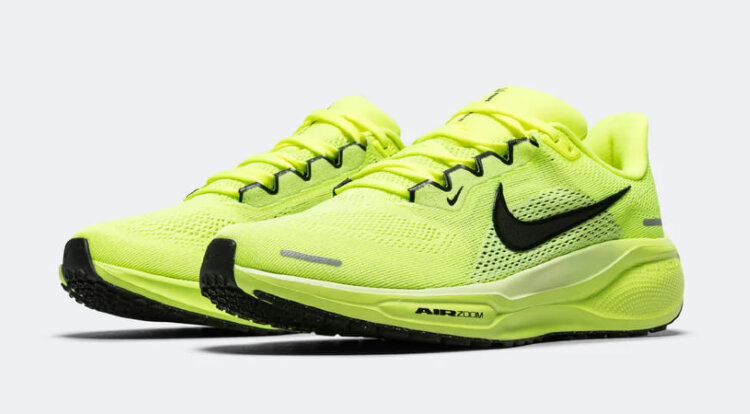 Nike Air Zoom Pegasus 41