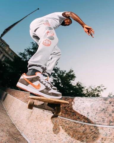 Nike SB Dunk Low Pro