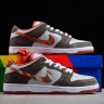 Nike SB Dunk Low Pro