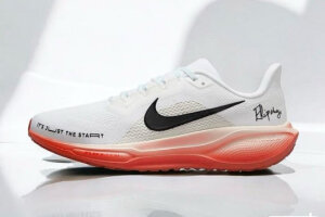 Nike Air Zoom Pegasus 41