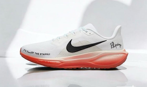 Nike Air Zoom Pegasus 41