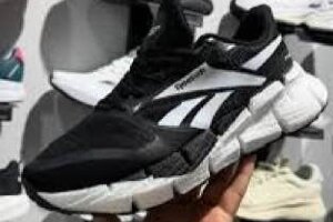 Reebok Float Zig 1