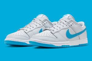 Nike Dunk Low
