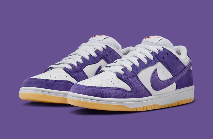 Nike SB Dunk Low Pro