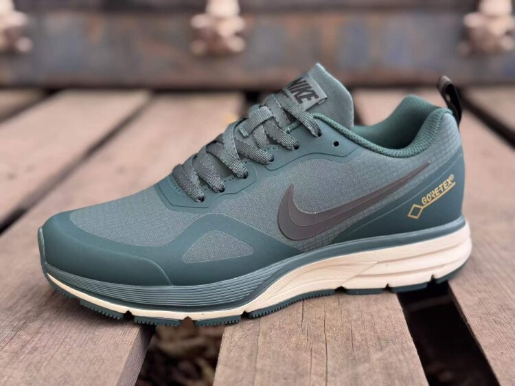  Nike Air Relentless 26 Gore-tex