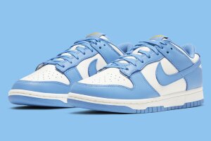 Nike Dunk Low Retro