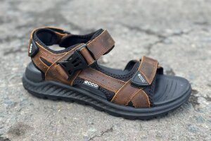 Ecco Sandal (503-3)