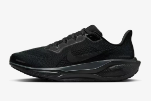 Nike Air Zoom Pegasus 41