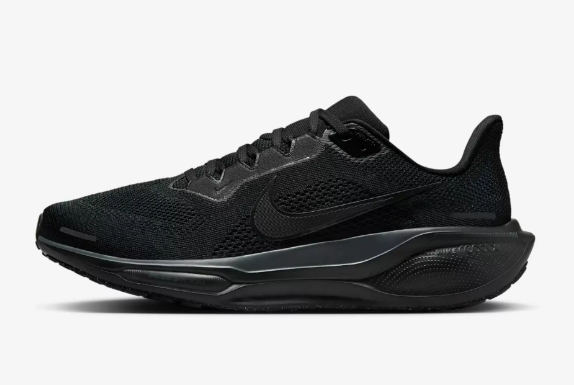 Nike Air Zoom Pegasus 41