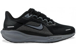 Nike Air Zoom Pegasus 41