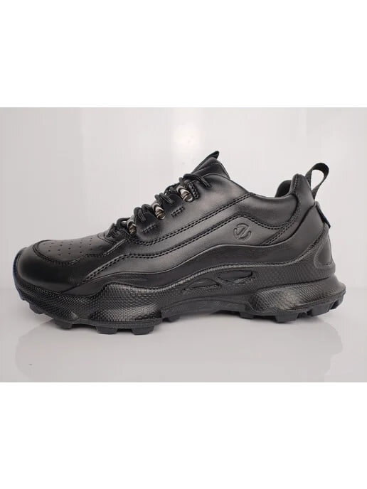 ecco colour description