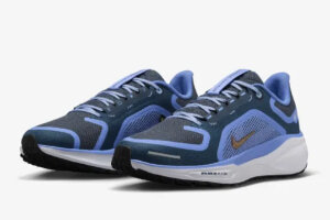 Nike Air Zoom Pegasus 41 Gtx