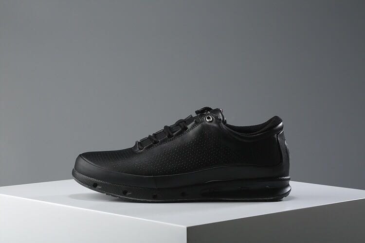 ecco colour description
