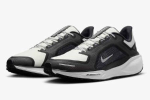 Nike Air Zoom Pegasus 41 Gtx