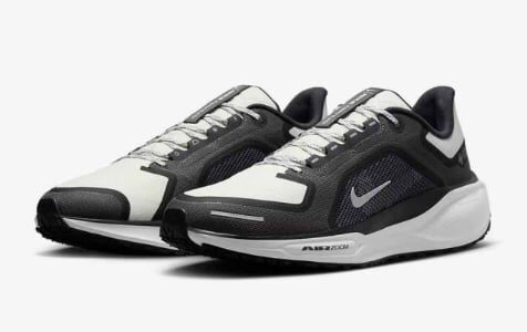 Nike Air Zoom Pegasus 41 Gtx