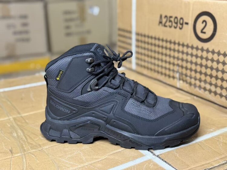 Salomon (A2599-2)