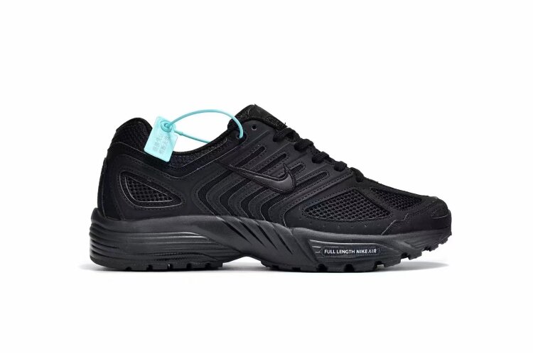 Nike Air Pegasus 2K5