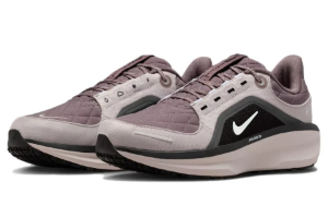 Nike Winflo 11 GTX