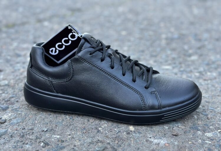 Ecco Biom c