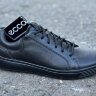 Ecco Biom c