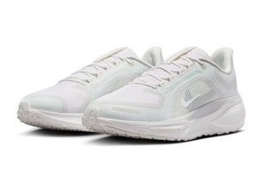 Nike Air Zoom Pegasus 41 Gtx
