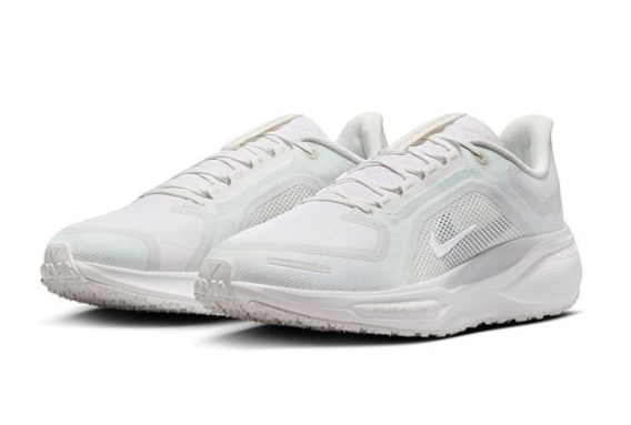Nike Air Zoom Pegasus 41 Gtx