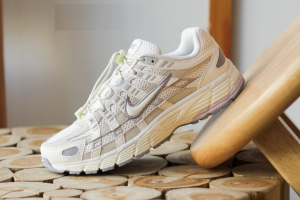 Nike P-6000
