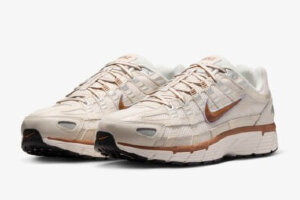 Nike P-6000