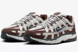 Nike P-6000