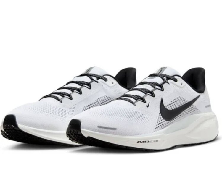 Nike Air Zoom Pegasus 41