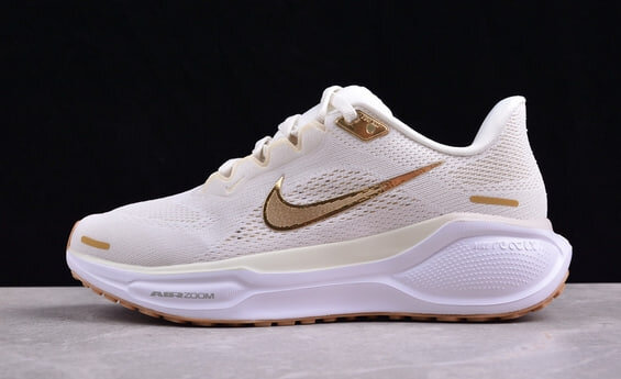 Nike Air Zoom Pegasus 41