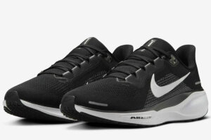 Nike Air Zoom Pegasus 41