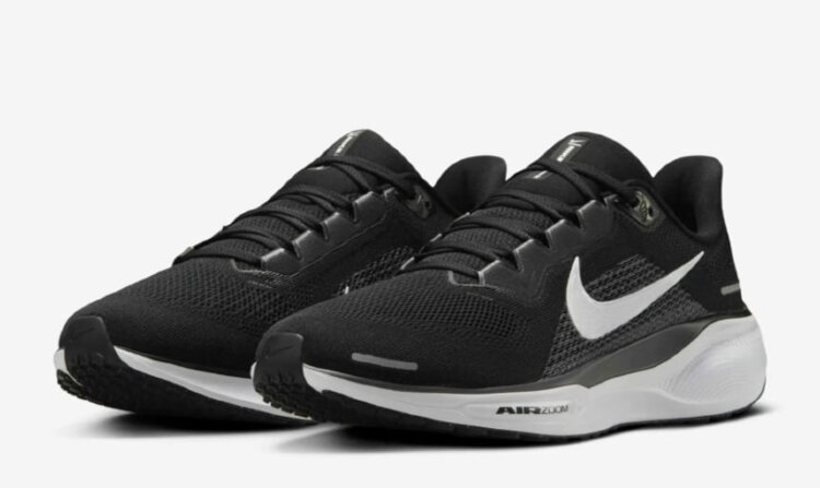 Nike Air Zoom Pegasus 41