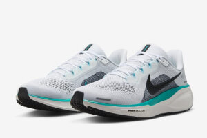 Nike Air Zoom Pegasus 41
