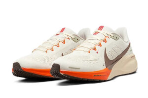 Nike Air Zoom Pegasus 41