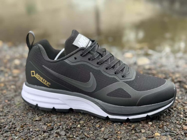 Nike Air Relentless 26 Gore-tex