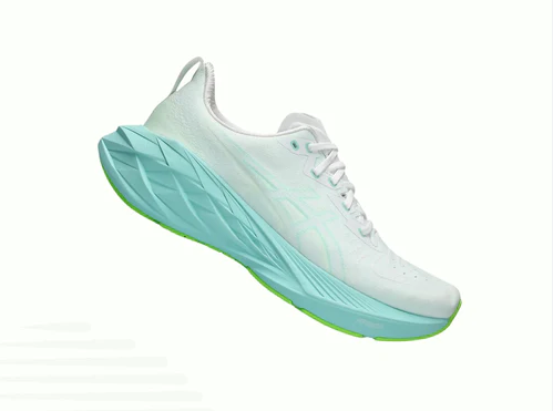 Asics Novablast 4