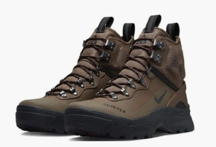 Nike ACG Air Zoom Gaiadome Gtx
