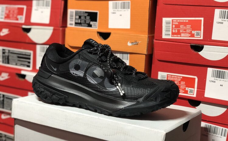 Nike ACG Mountain Fly 2 Low