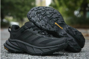 Adidas Terrex Freehiker SL