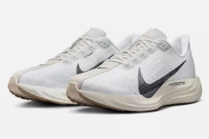 Nike Pegasus Plus