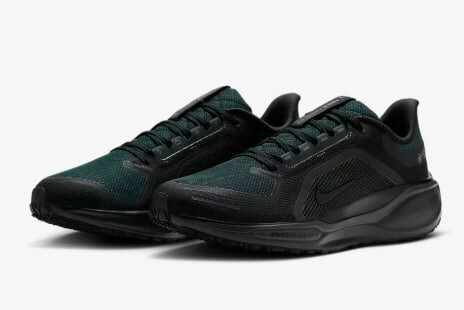 Nike Air Zoom Pegasus 41 Gore-Tex