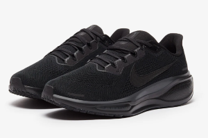 Nike Air Zoom Pegasus 41