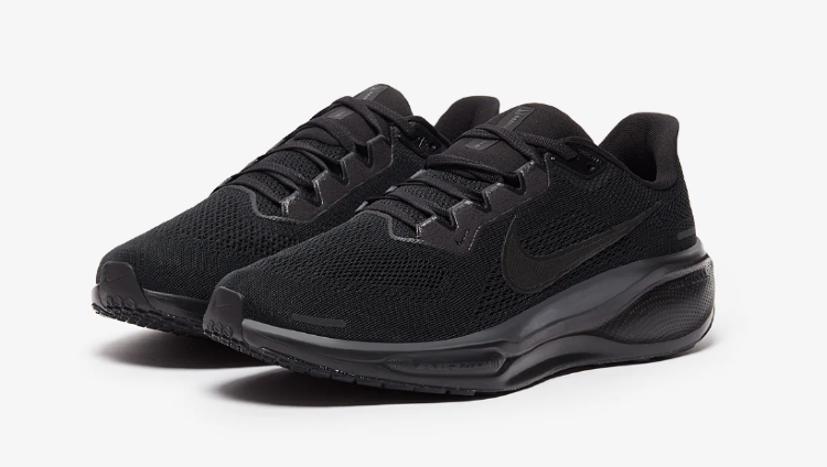 Nike Air Zoom Pegasus 41