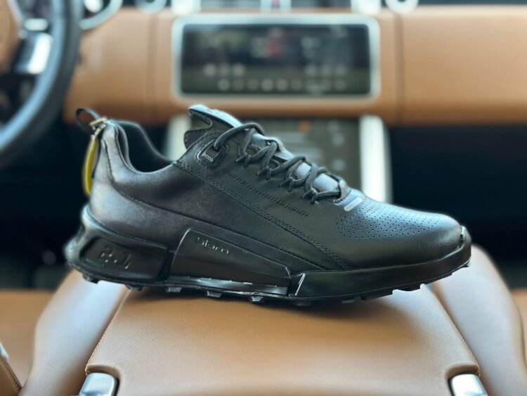 Ecco E-01-1