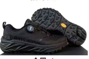 The North Face Gore-Tex