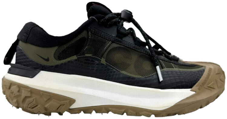 Nike ACG Mountain Fly 2 Low
