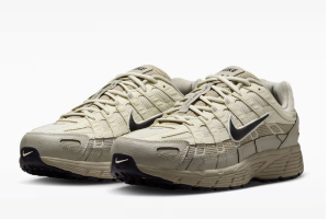  Nike P-6000